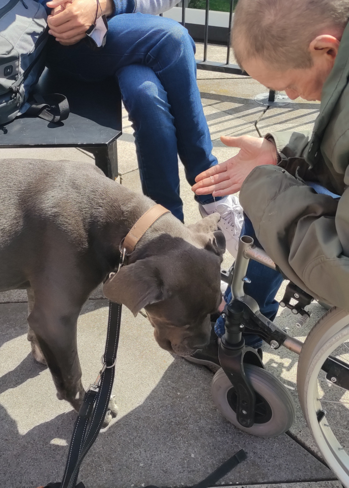 Homeless patients in Liege enjoy therapy dog's company